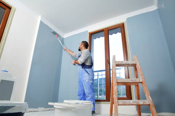 Best Residential Painting  in Troy, PA